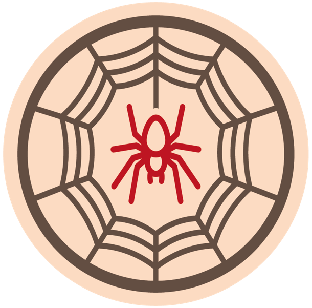 Araignées (Nouveau visuel)