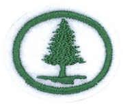 Arbres et buissons