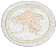 Champignons