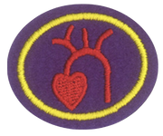 Coeur et circulation