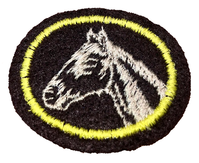 Elevage de chevaux
