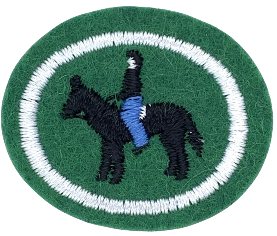 Equitation