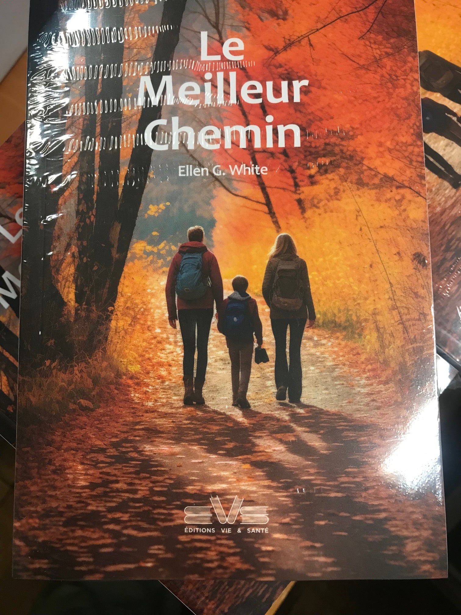 Le meilleur chemin