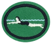 Natation 1 - ancien visuel