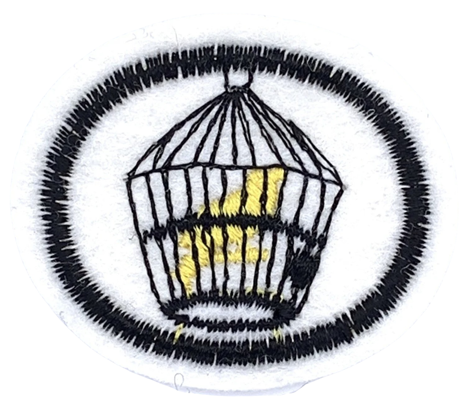 Oiseaux domestiques