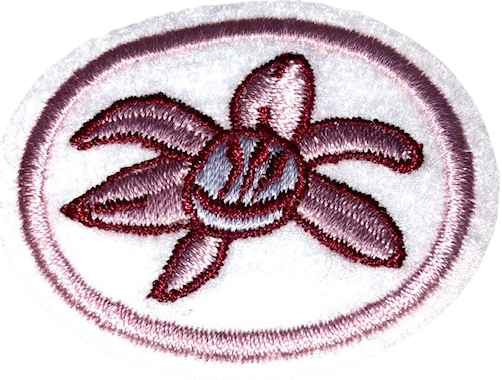 Orchidées