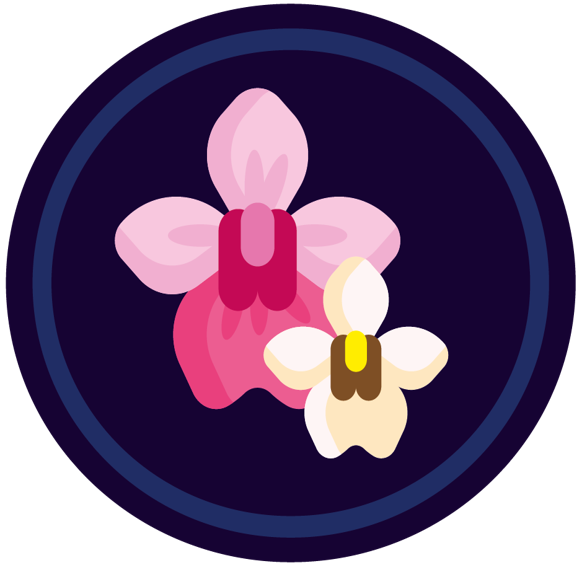 Orchidées (Nouveau visuel)
