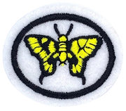 Papillons